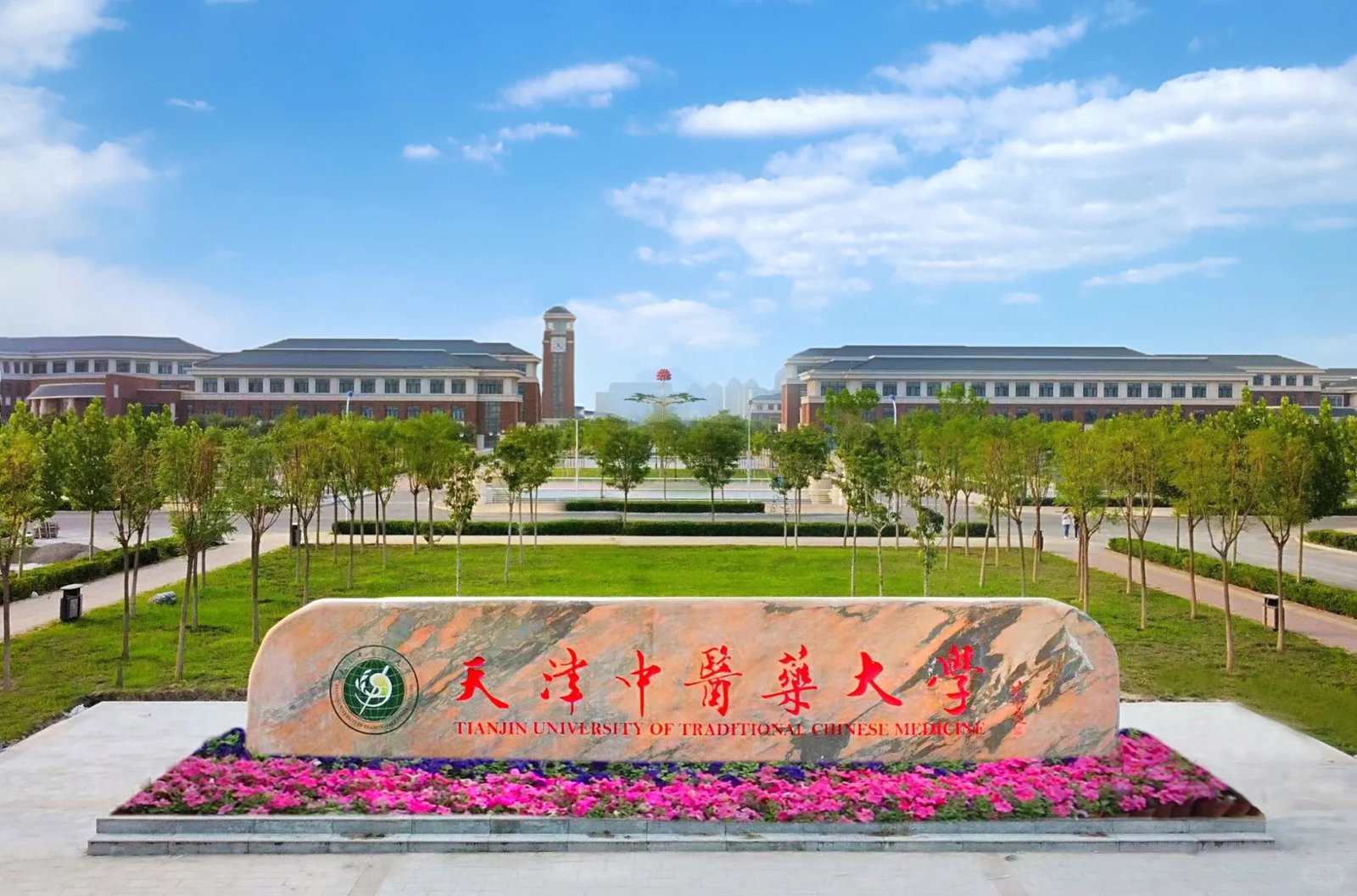 logo-school