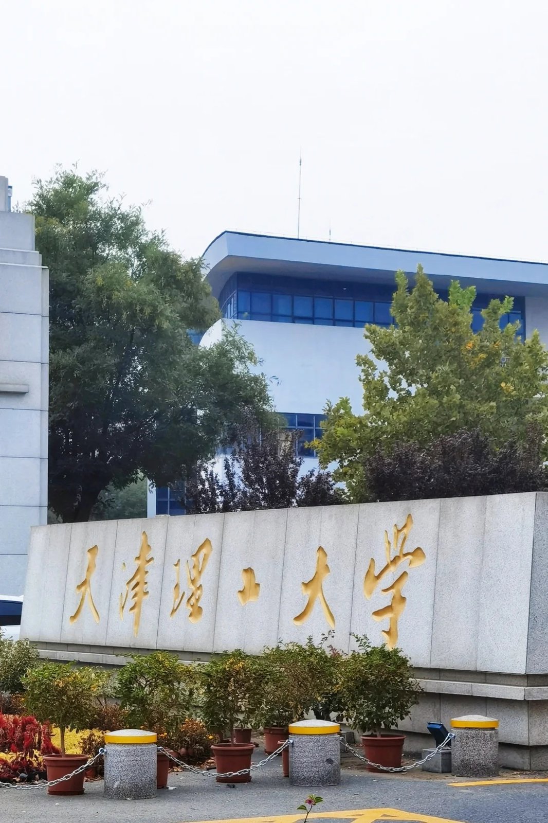 logo-school