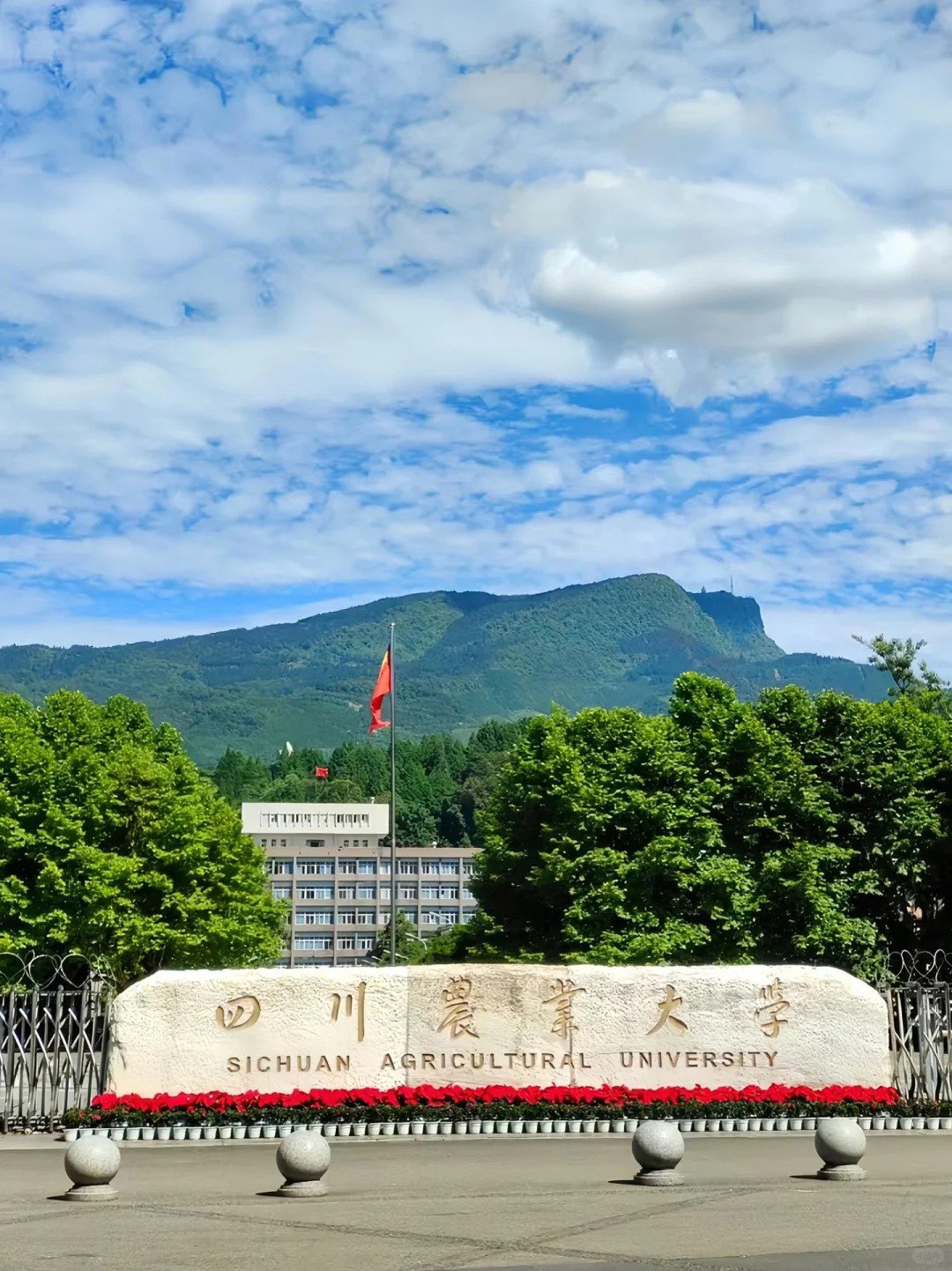 logo-school